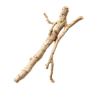 Ashwagandha Root
