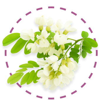 Quercetin