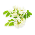 Quercetin