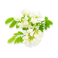 Quercetin