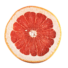 Grapefruit Seed Extract