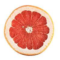 Grapefruit Seed Extract