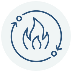 Inflammation & Joint Support