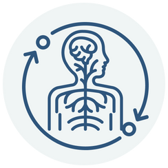 Stress Resilience & Nervous System Support