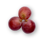 Grape Seed Extract