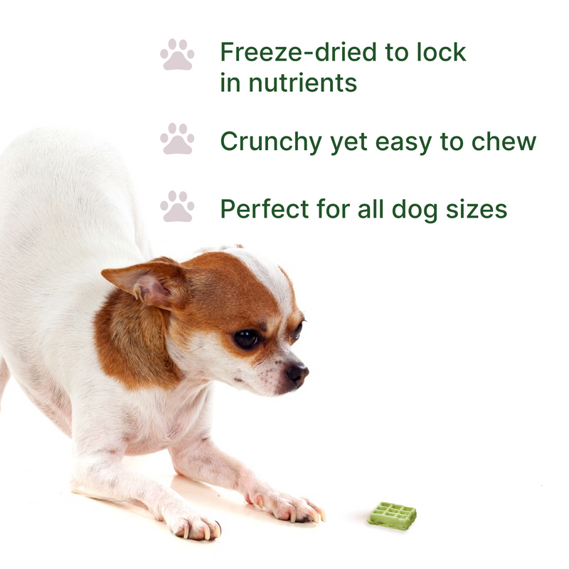 Pawsitive Superfood Waffles