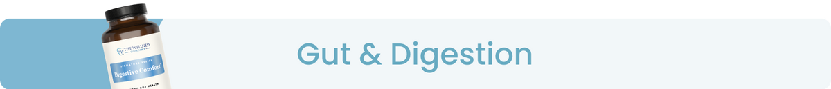 Gut & Digestion