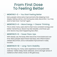 Month 1-2 Start Feeling Better, Month 3-4 More Energy and clearer thinking, Month 5-6 fewer flare-ups, months 9-12 long-term stability