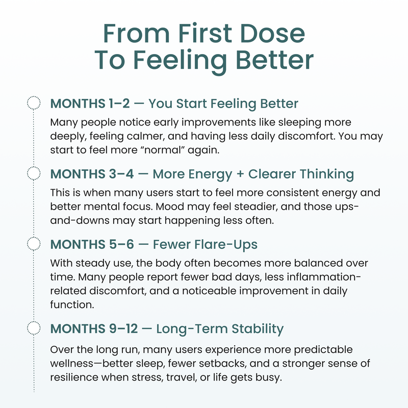 Month 1-2 Start Feeling Better, Month 3-4 More Energy and clearer thinking, Month 5-6 fewer flare-ups, months 9-12 long-term stability