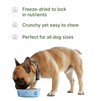 Pawsitive Bison Nutritional Topper