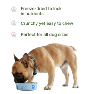 Pawsitive Bison Nutritional Topper