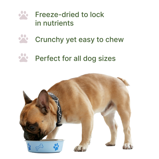 Pawsitive Bison Nutritional Topper