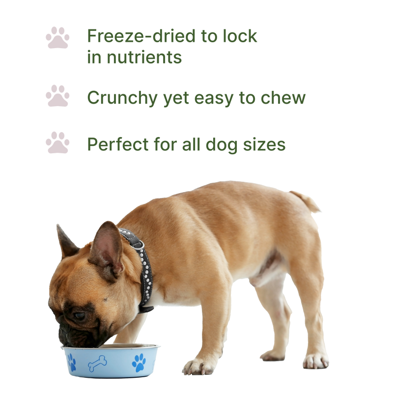 Pawsitive Bison Nutritional Topper