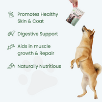 Pawsitive Bison Nutritional Topper