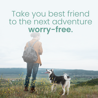 Pawsitive Medical Emergency Kit