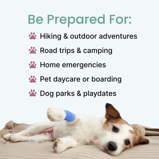 Pawsitive Medical Emergency Kit