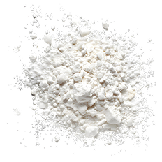 Probiotic Blend 