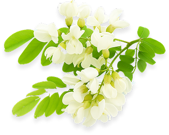 Quercetin