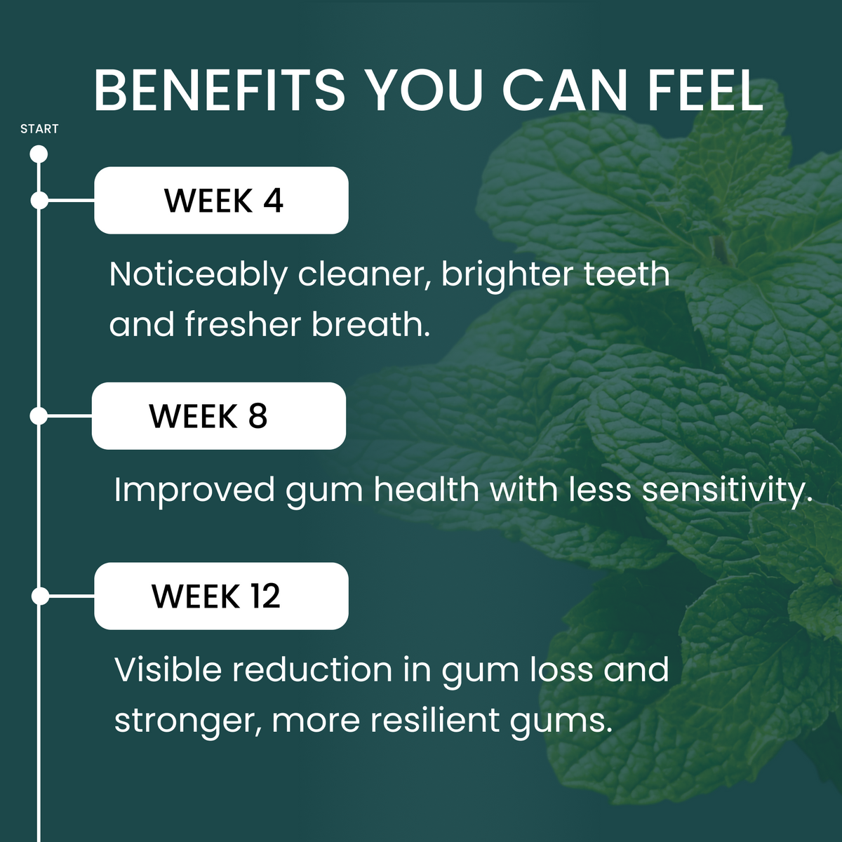 Smile– The Wellness Company