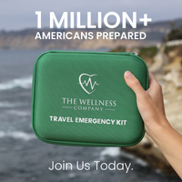 Travel Emergency Kit