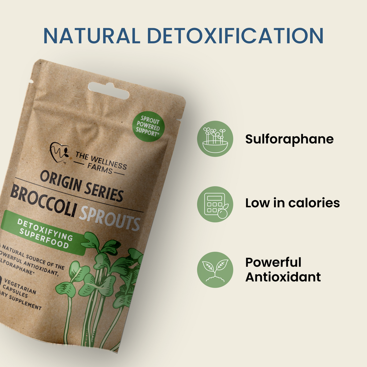 Broccoli Sprouts– The Wellness Company