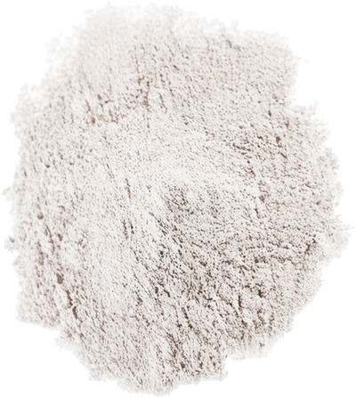 Protein-Digesting Enzymes