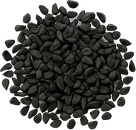 Black Seed
