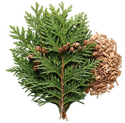 Cedarwood Oil