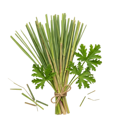 Citronella Oil