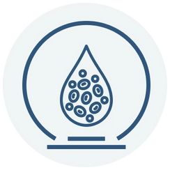 Healthy Cholesterol Balance