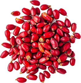 HIMABERB® Berberine HCl