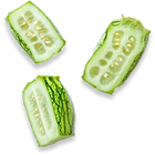 Bitter Melon Extract