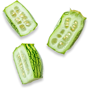 Bitter Melon Extract