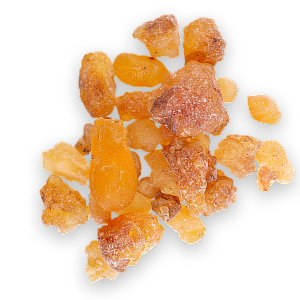 Indian Frankincense 