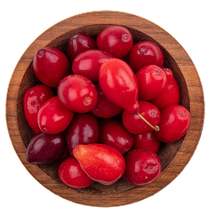 Schisandra