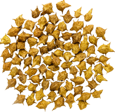 Tribulus Fruit