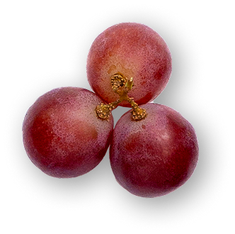 Grape Seed Extract