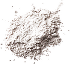 Bifidobacterium Lactis