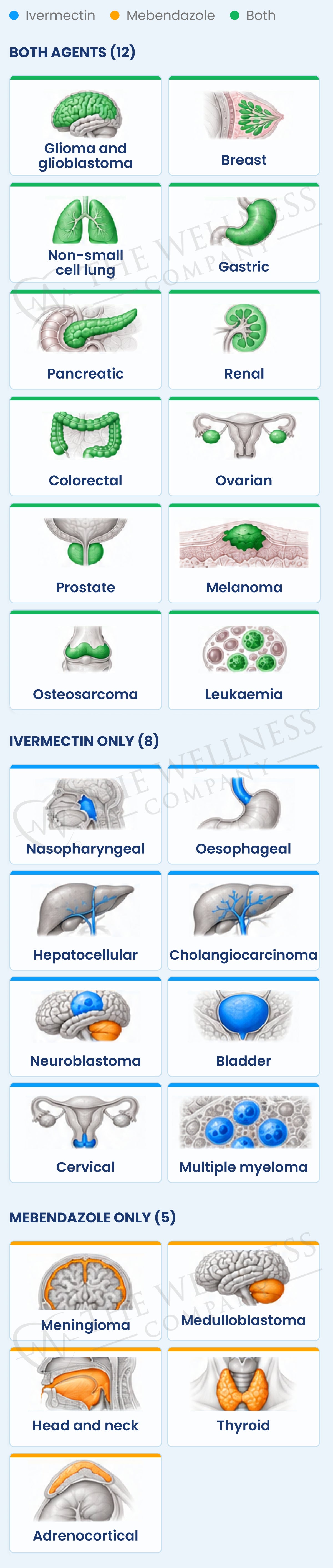 Figure 1: 25 malignancies with documented preclinical activity. 12 both agents, 8 ivermectin only, 5 mebendazole only