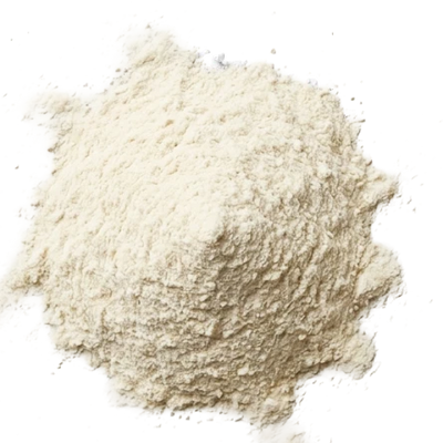 Lactobacillus plantarum KABP (Metabalance®)