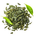 Green Tea Extract