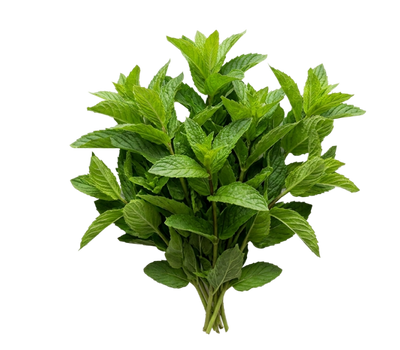 Peppermint Oil