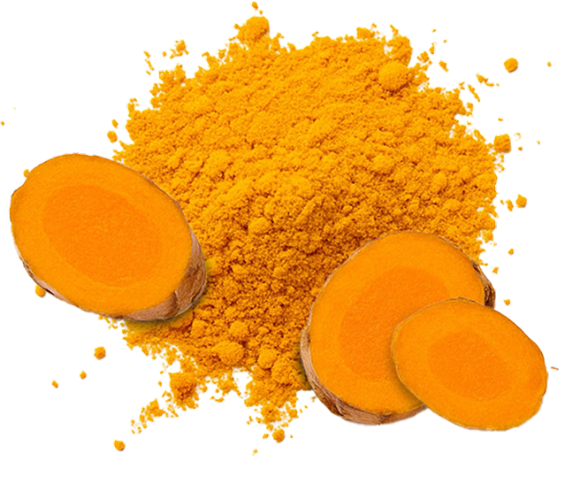 Turmeric root
